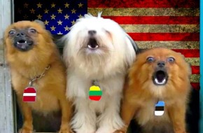 По примеру Грузии: 6 способов наказать Прибалтику за русофобию - «Новости Дня»