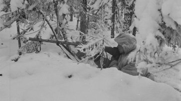 Что побудило СССР начать войну с Финляндией - «История»
