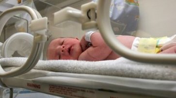 В Израиле больницу заподозрили в продаже младенцев на органы - «Здоровье»