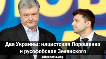 Две Украины: нацистская Порошенко и русофобская Зеленского - «Народное мнение»