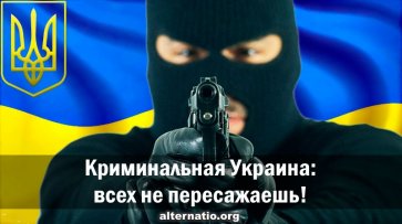 Криминальная Украина: всех не пересажаешь! - «Народное мнение»