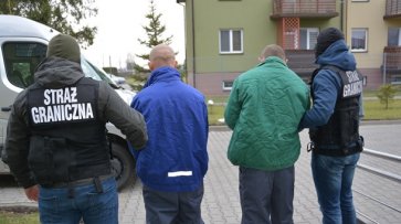 На границе Польши задержали рекордную партию янтаря - «Украина»