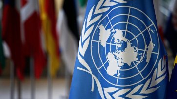ООН обеспокоена передачей Киевом «беркутовцев» в Донбасс - «Новороссия»