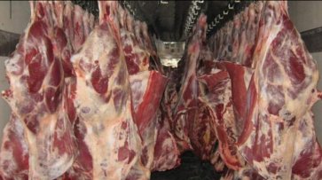 В 2020 году цены на говядину и телятину в США вырастут на 5-10% - «Экономика»