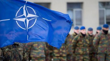 Белоруссия договаривается с НАТО о совместных учениях - «Политика»