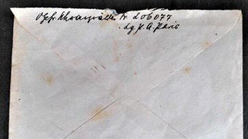 "От победы мы недалеко": под Тверью нашли письмо немецкого солдата от 1943 года - «Общество»