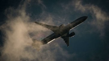 Пилот летевшего в Москву самолета бросил штурвал ради разговора с приятелем - «Происшествия»