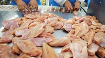 Украина вошла в топ-5 экспортеров курятины в мире – Минэкономики - «Экономика»