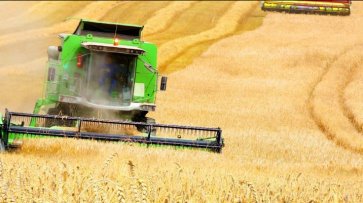 USDA снизил для России прогноз производства и экспорта пшеницы в 2019-20 сезоне - «Экономика»