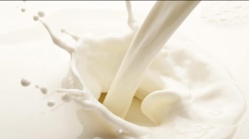 В декабре производство молока в США выросло на 0,7% - «Экономика»