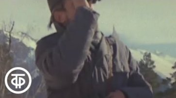 В краю горного солнца (1974)  - «Видео»