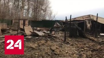 Возросло количество погибших при пожаре в Подмосковье - Россия 24  - «Россия 24»