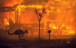 В Австралии усиливаются смертоносные лесные пожары: уничтожены 1,3 тыс. домов - «Происшествия»