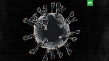 Эффективные способы защиты от коронавируса  - «НТВ»