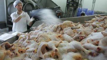 Казахстан ограничил ввоз мяса птицы из Украины - «Экономика»