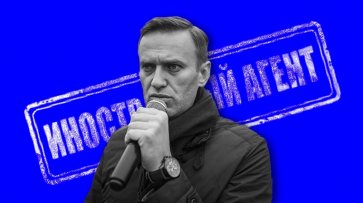 Стало известно ещё об одной схеме отмывания денег Навальным - «Общество»