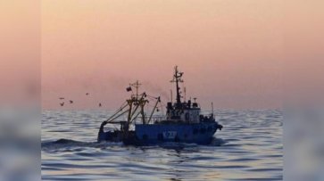 В Крыму допросили капитана браконьерского судна из Украины - «Происшествия»