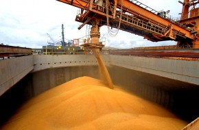 Хлебом не корми: российская пшеница стала дороже нефти - «Новости Дня»