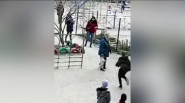 В Севастополе женщине не понравился ребенок на детской площадке. Она залила его перцовым баллончиком - «Общество»