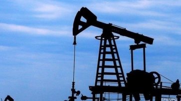 Цена на нефть РФ стала отрицательной - «Экономика»