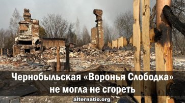 Чернобыльская «Воронья слободка» не могла не сгореть - «Народное мнение»