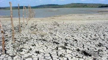 Власти Чехии жалуются на катастрофическую засуху в стране - «Мир»