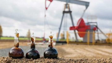 Белоруссия открыла два новых нефтяных месторождения - «Политика»