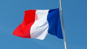 Дилерские центры во Франции откроются, так как правительство облегчает локдаун - «Авто»
