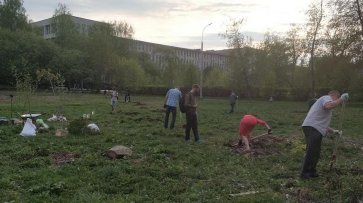 Жители Екатеринбурга высадили деревья, власти обвинили их в экстремизме