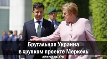Брутальная Украина в хрупком проекте Меркель - «Народное мнение»