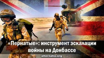 «Пернатые»: инструмент эскалации войны на Донбассе - «Народное мнение»