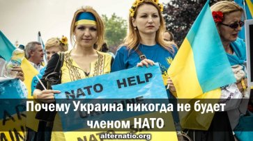 Почему Украина никогда не будет членом НАТО - «Народное мнение»
