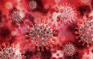 Стало известно о риске закрытия Турции из-за коронавируса - «Здоровье»
