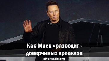 Как Маск «разводит» доверчивых креаклов - «Народное мнение»