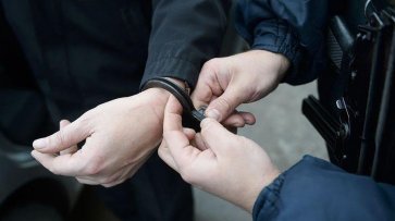 Московские школьники задержали напавшего на их подругу насильника