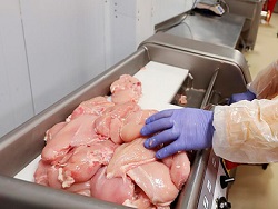 В Китае нашли коронавирус на мясе птицы из России - «Происшествия»
