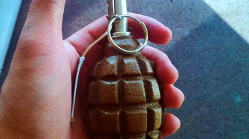 Охранник принес муляж гранаты на территорию школы в Москве ради премии - «Происшествия»