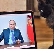 Путин пообещал подумать над созданием блога - «Новости»