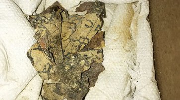 Скелет ребенка в Пещере ужасов: археологи исследуют утесы Мертвого моря - «Культура»