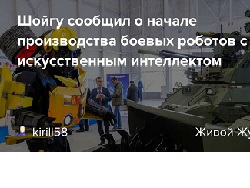 Шойгу заявил о серийном производстве боевых роботов с ИИ в России - «Новости»