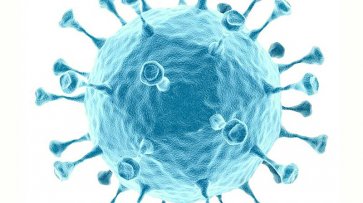 Число случаев коронавируса в мире превысило 150 миллионов - «Здоровье»