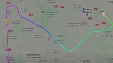 «Это была спецоперация от Лукашенко»: в Минске задержан экс-главред канала Nexta после вынужденной посадки авиалайнера Афины-Вильнюс - «Военные действия»