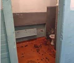 В России запустили конкурс на худший школьный туалет. Победителя ждет ремонт - «Новости»
