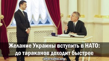 Желание Украины вступить в НАТО: до тараканов доходит быстрее - «Народное мнение»