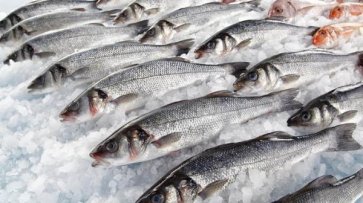 Экспорт рыбопродукции из России в Китай упал в пять раз - «Политика»