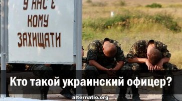 Кто такой украинский офицер? - «Народное мнение»