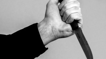 В Подмосковье сын искромсал ножом мать и признался в убийстве своему отцу - «Происшествия»