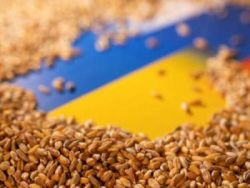 Сергей Марков: Киев хочет войны НАТО против России из-за зерна - «Политика»