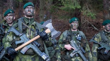 Ложное чувство защищенности: чем финны и шведы могут усилить НАТО - «Аналитика»
