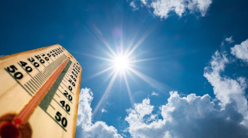 «Количество волн жары будет расти»: российский климатолог — о причинах температурных рекордов в России и мире - «Мир»